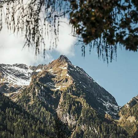 Haus Gruenberg Finkenberg