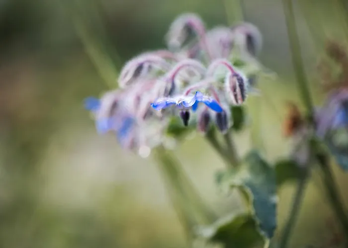 Haus Gruenberg Appartamento